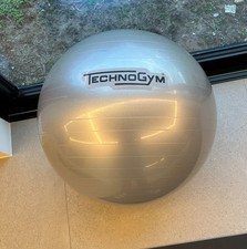 Technogym Wellness Ball